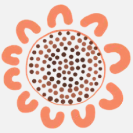 Moorn Bidi sunflower hd